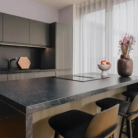 Luxury Apartment